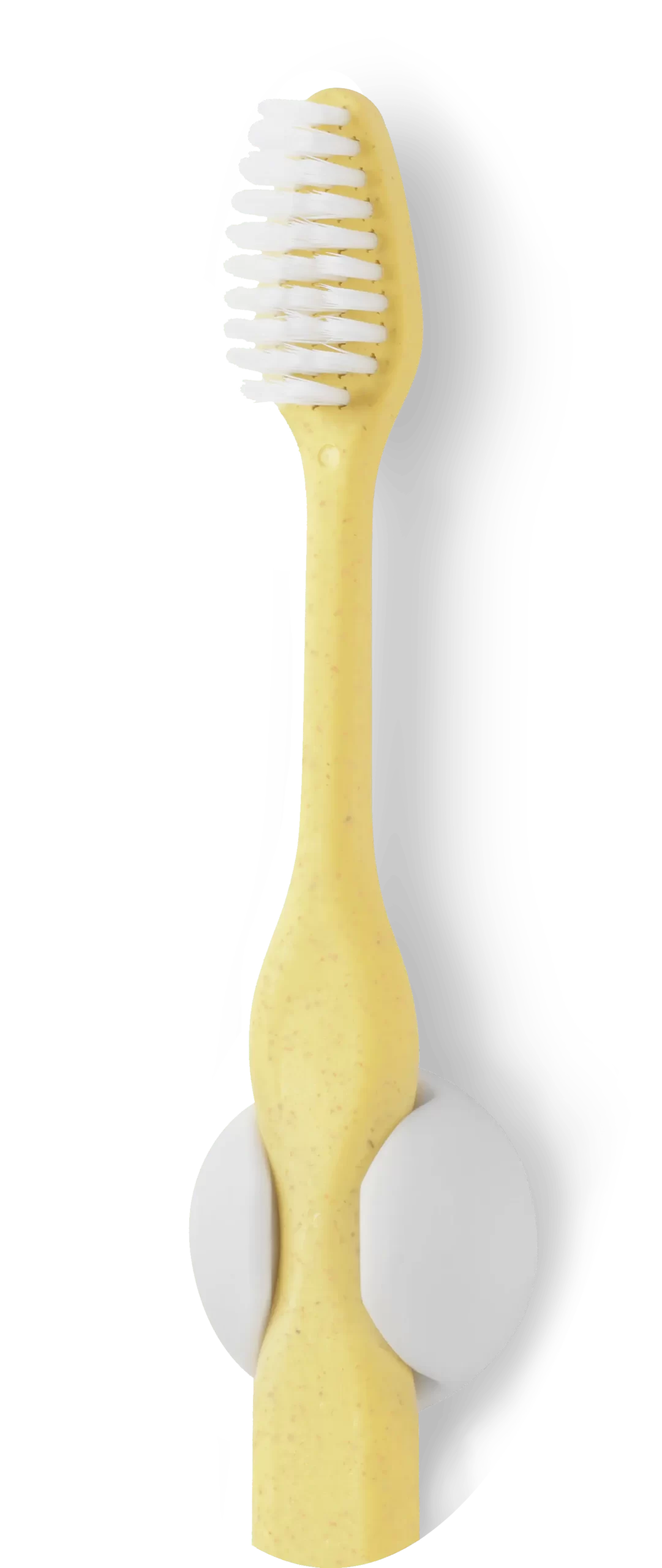 Gul